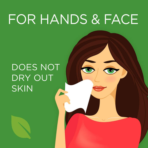 CleanWell Natural Hand Sanitizer Spray - Original Scent & Orange Vanilla Scent, 1 Ounce (30 ml) (Bulk Pack of 12, ***FINAL SALE)