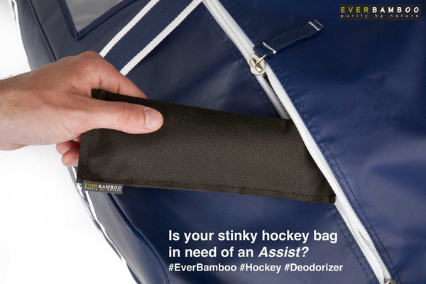 BOGO -->  Ever Bamboo Sports Kit Deodorizer + Dehumidifier [2X (4-Pack, 4 x 50 g)]