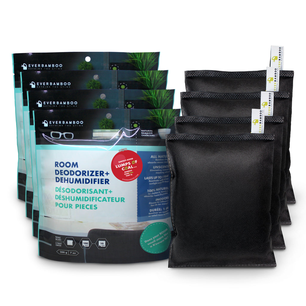 Bamboo Charcoal Room Deodorizer + Dehumidifier (Large, 500 g) Ever Bamboo