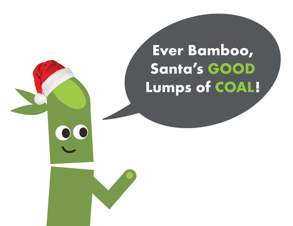 Ever Bamboo Room Deodorizer + Dehumidifier (200 g) ...Santa Specials: 4, 8, 12-PACK