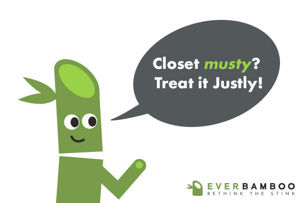 Ever Bamboo Closet Deodorizer + Dehumidifier (130 g)