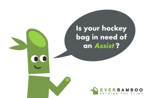 Ever Bamboo Hockey Deodorizer Set (4-Pack, 4 x 50 g)