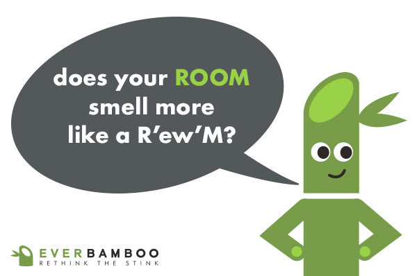 Ever Bamboo Room Deodorizer + Dehumidifier (200 g)