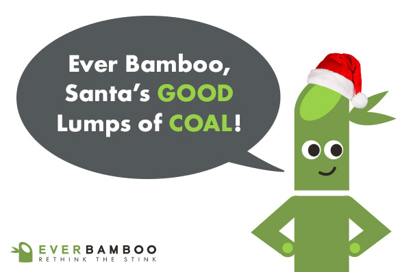 Ever Bamboo Shoe Deodorizer (Pair, 2 x 50 g) ...Santa Specials: 4, 8, 12-PACK