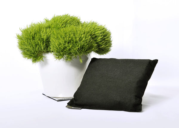 Ever Bamboo Room Deodorizer + Dehumidifier (200 g)